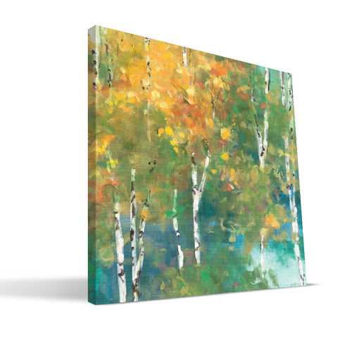 Fall Aspen Canvas Print