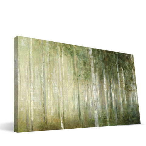 Sappling Woods Canvas Print