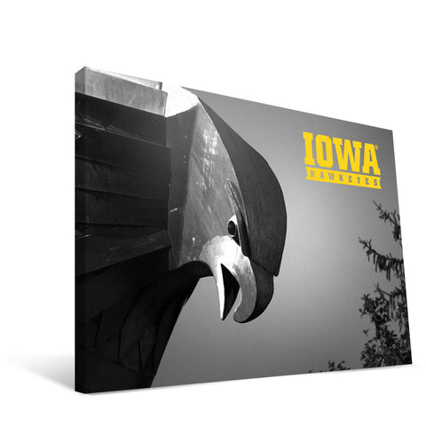 Iowa Hawkeyes Hawk Statue Head Canvas Print