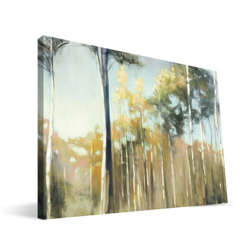 Eucalyptus Grove Canvas Print